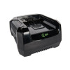 Зарядное устройство Greenworks G82C 82В