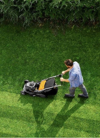 Как выбрать идеальную газонокосилку: ищем «Пассат Б4» в мире садового инструмента