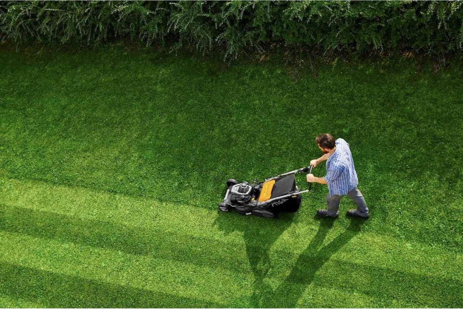 Как выбрать идеальную газонокосилку: ищем «Пассат Б4» в мире садового инструмента